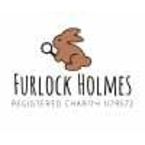Furlock Holmes Animal Rescue eCards