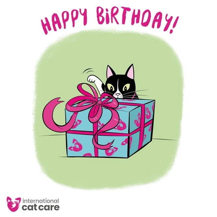 Send an iCatCare Birthday E-Card eCards