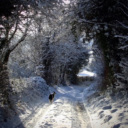 2021 Design: Send a Christmas e-Card designed by Pat eCards