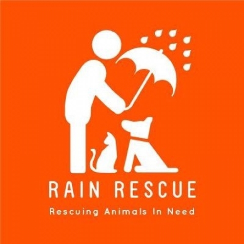 Rain Rescue eCards