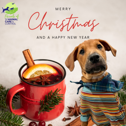 Send Holiday E-Cards eCards