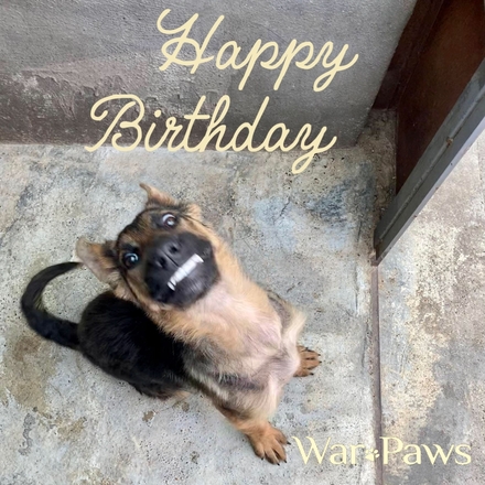 Send a Birthday E-Card eCards