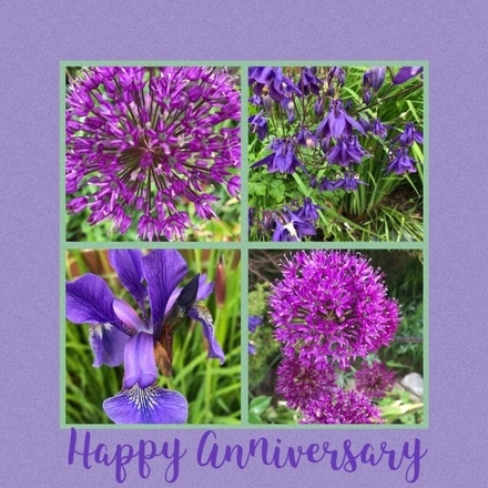 Send an Anniversary E-Card eCards