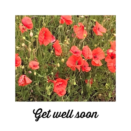 Send a Get well soon E-card eCards