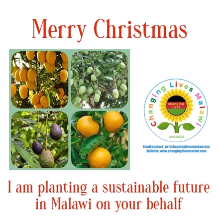Help plant a sustainable future for orphans & vulnerable people, £10 buys 4  fruit tree saplings eCards