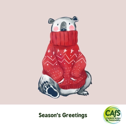 Why not send one of CAfS' Christmas eCards this year? eCards