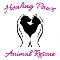 Healing Paws Animal Reacue eCards