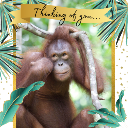 Send an E-Card to show they're in your thoughts eCards