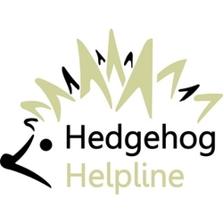 Hedgehog Helpline eCards
