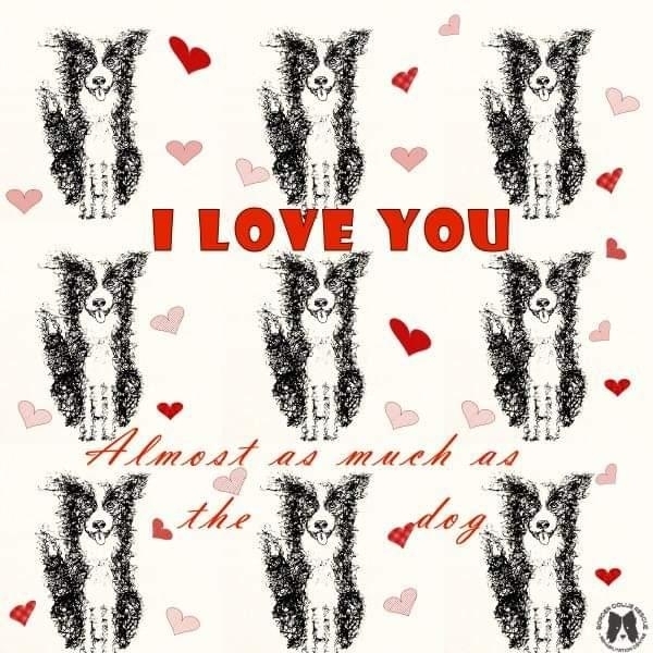 Border Collie Rescue & Rehab Thank You eCards