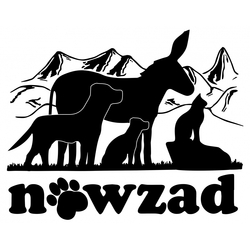 Nowzad eCards