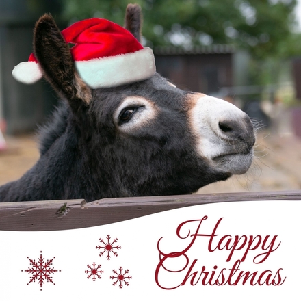 Send Corporate Christmas E-Cards eCards