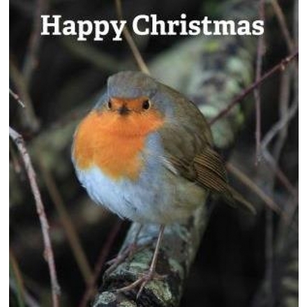 Send Corporate Christmas E-Cards eCards