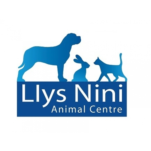 Llys nini dog rescue discount