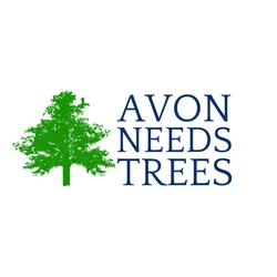 Avon Needs Trees eCards