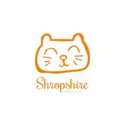 Shropshire Street Cats eCards