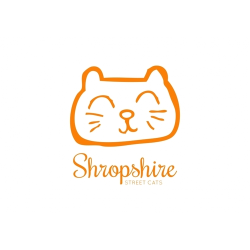 Shropshire Street Cats eCards