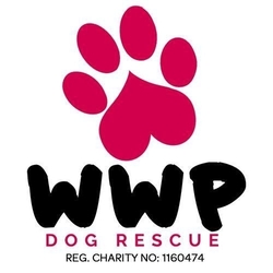 West Wales Poundies Dog Rescue eCards