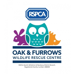 RSPCA Oak and Furrows Wildlife Rescue Centre eCards