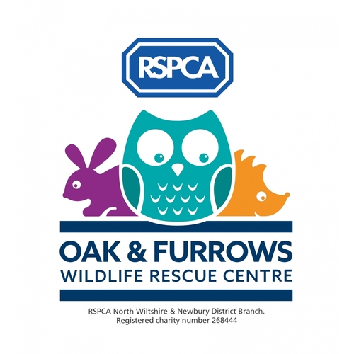 RSPCA Oak and Furrows Wildlife Rescue Centre eCards