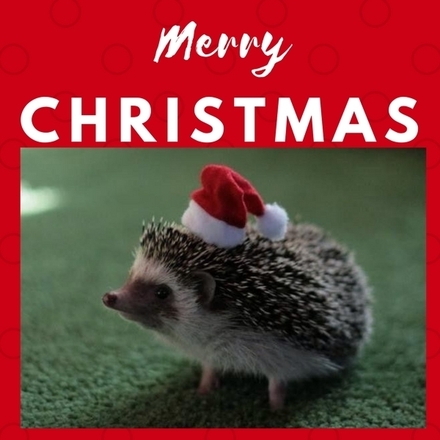 Send Christmas E-Cards eCards