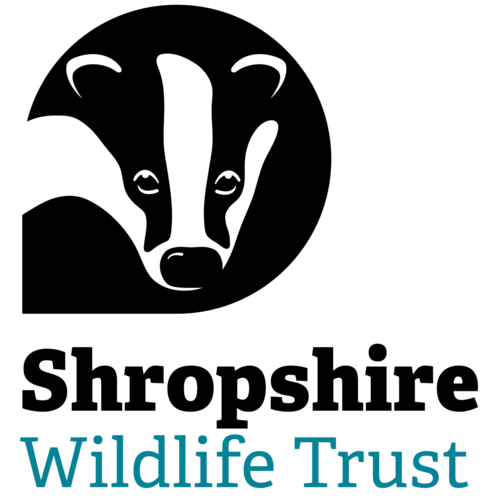 Shropshire Wildlife Trust eCards