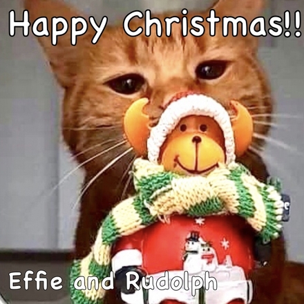Send Christmas E-Cards eCards
