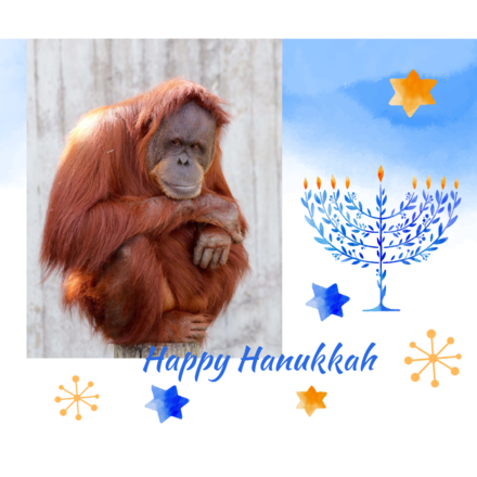Happy Hanukkah  eCards
