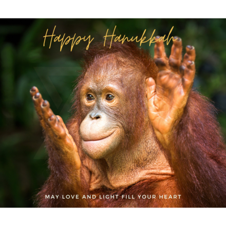 Happy Hanukkah-May Love and Light Fill Your Heart eCards
