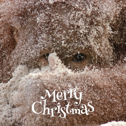 Send Christmas e-cards to support orangutans! eCards