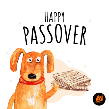 Send Passover cards eCards