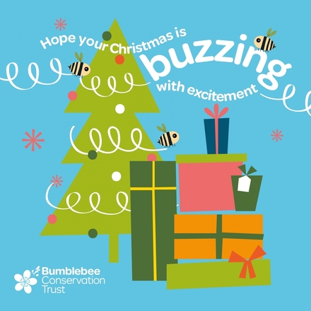 Send a Christmas e-card  eCards