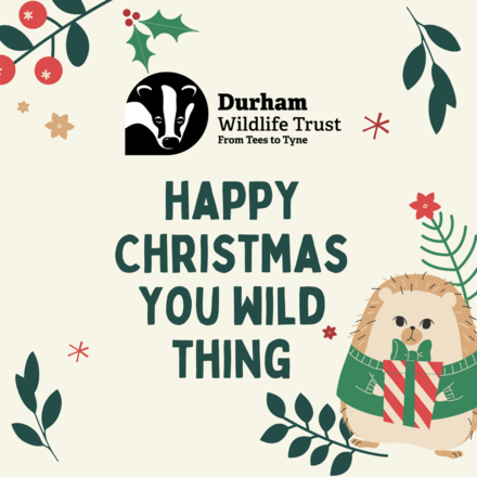 Send Christmas E-Cards and Support Wildlife eCards