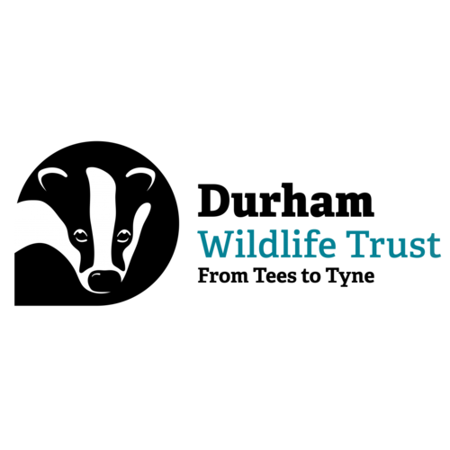 Durham Wildlife Trust eCards