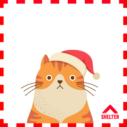 Send Christmas e-cards to your friends and family  eCards