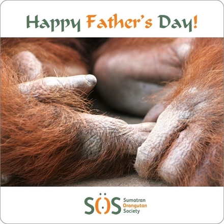 Send a Father's Day E-Card eCards