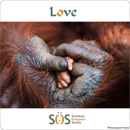 Send a Valentine's Day E-Card eCards
