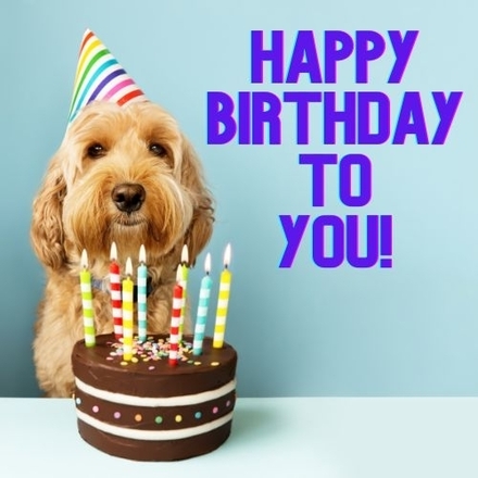 Send Birthday eCards eCards