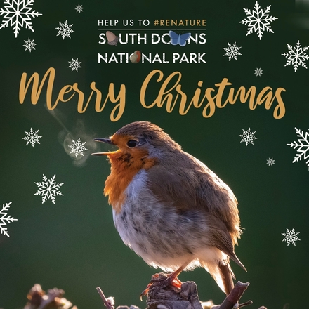 Help us ReNature the South Downs this Christmas eCards
