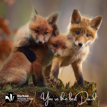 Send a Father's Day E-Card eCards