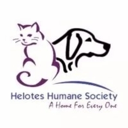 Helotes Humane Society eCards