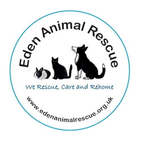 Eden Animal Rescue eCards
