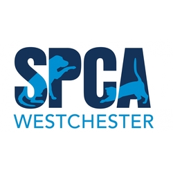 SPCA Westchester eCards