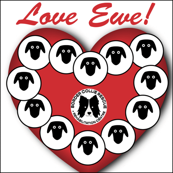 Border Collie Rescue & Rehab Valentine's Day eCards