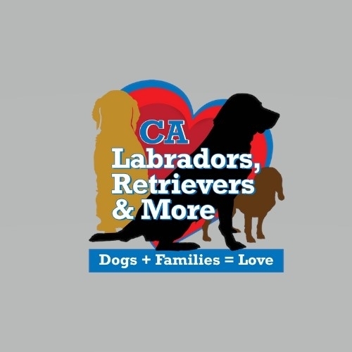 California Labradors Retrievers and More eCards