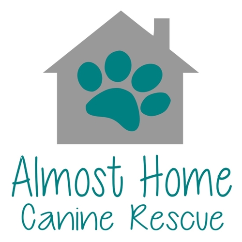 Almost Home Canine Rescue eCards