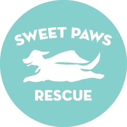 Sweet Paws Rescue eCards