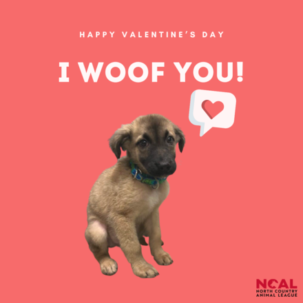 I Woof You eCards