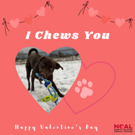 I Chews You eCards