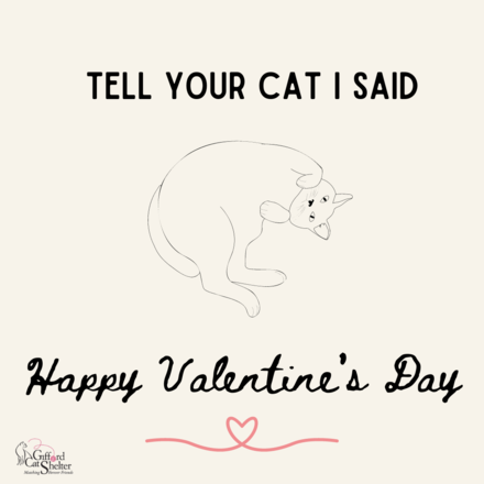 Send a Valentine's Day Card! eCards